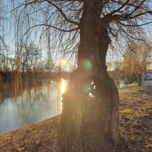 Foto_01