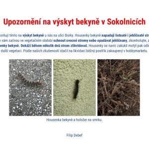 Bekyně