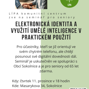 Lípa_E-identita a AI 