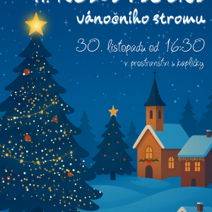 Rozsvícení vánočního stromu