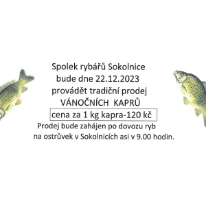 Rybáři_prodej_ryb