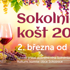 Sokolnicky kost_2024