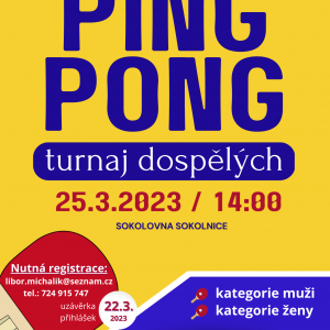 Turnaj pinec