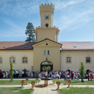 g4a3031