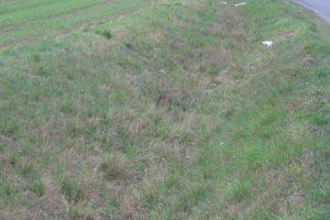 foto_2026.jpg