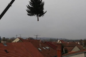 foto_4414